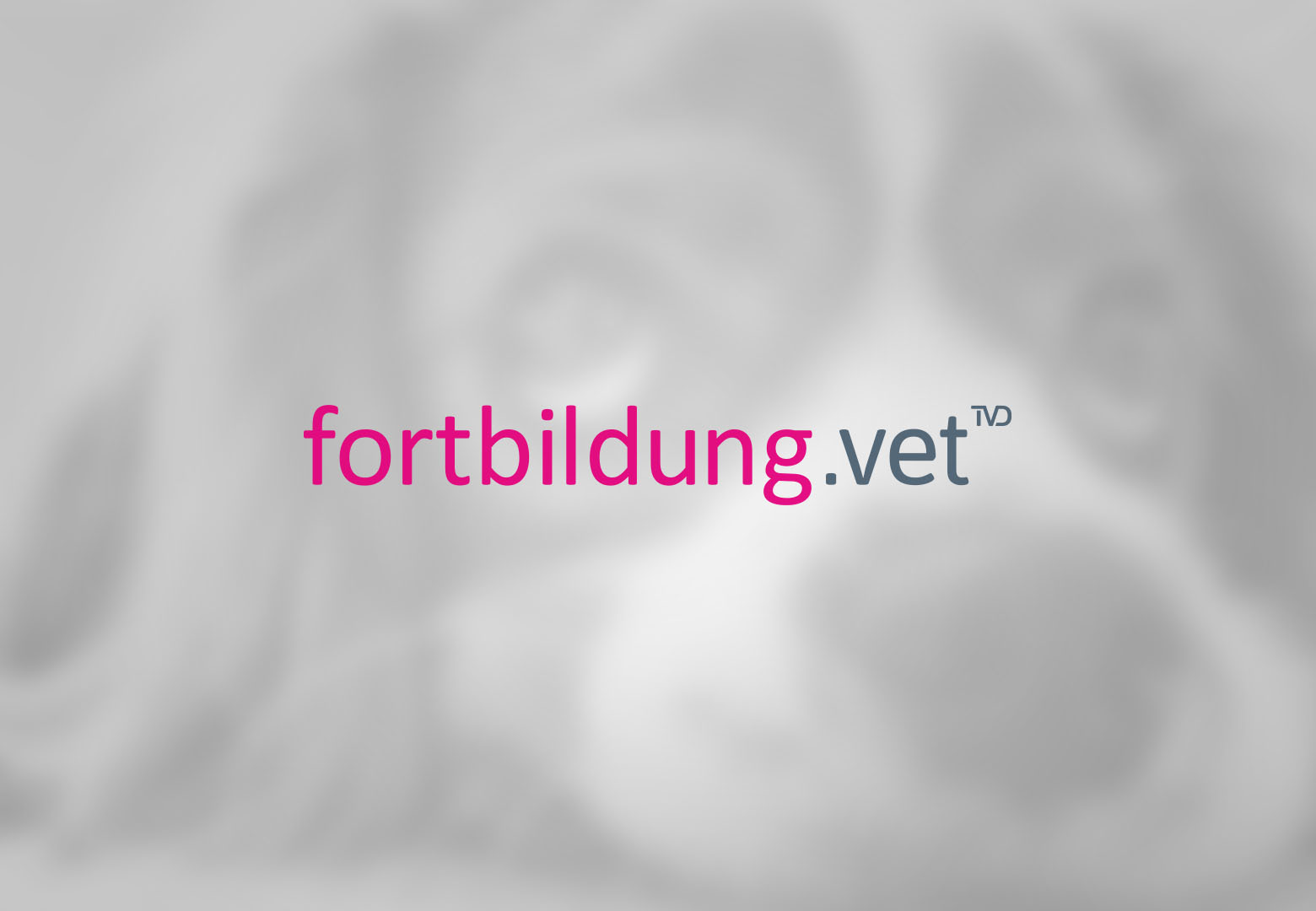 Dr. Ann-Kathrin Fritsche