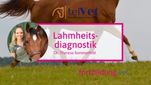 Lahmheitsdiagnostik beim Pferd