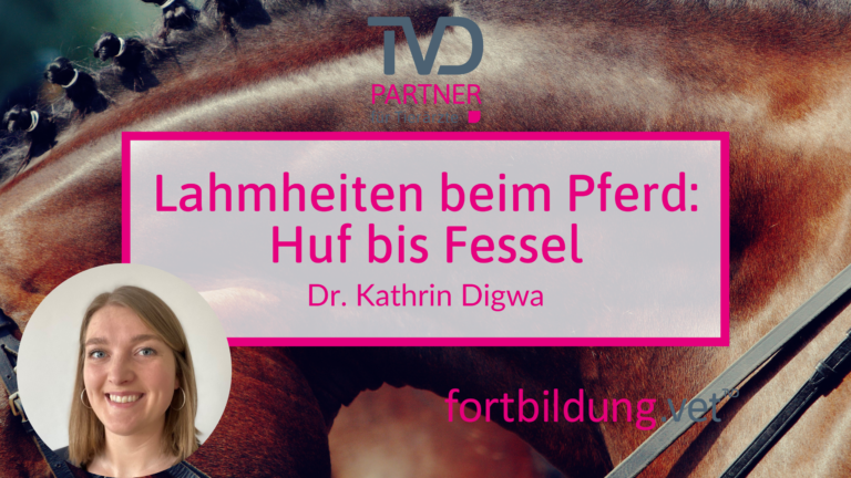 fortbildung.vet Titelbild