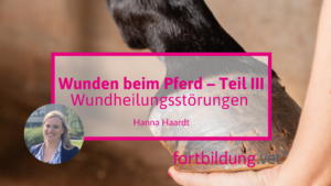 24190 Wunden III