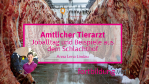 Amtlicher Tierarzt