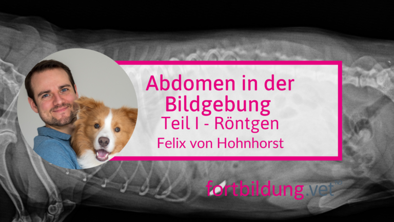 fortbildung.vet Titelbild