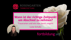 Wann ist der richtige Zeitpunkt um Abschied zu nehmen?