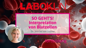 SO GEHT'S! Die Interpretation von Blutzellen