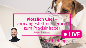 Plötzlich Chef