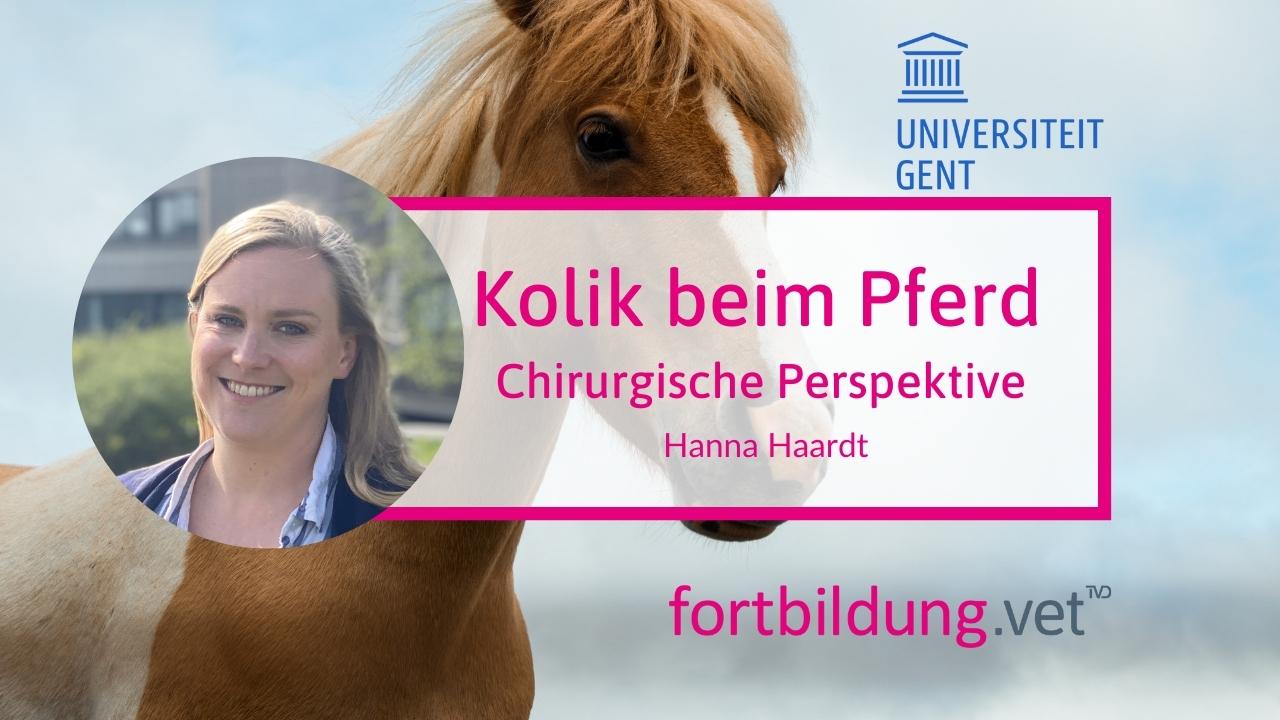 fortbildung.vet Titelbild