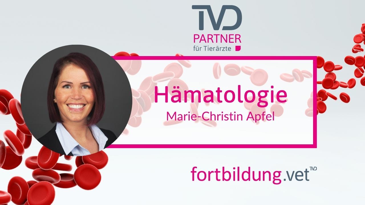 fortbildung.vet Titelbild