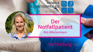Der Notfallpatient