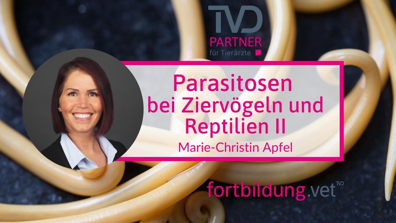 fortbildung.vet Titelbild