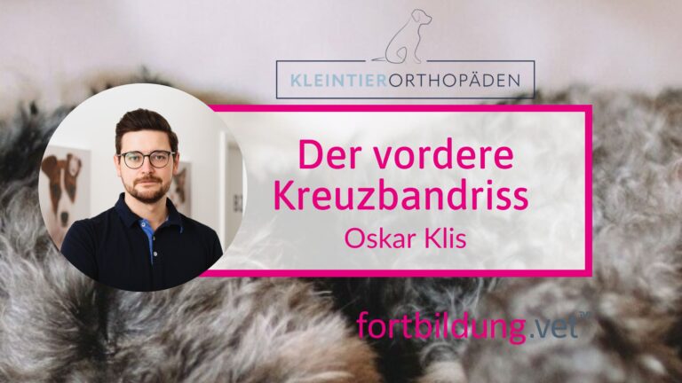 fortbildung.vet Titelbild