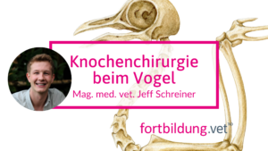 Knochenchirurgie beim Vogel