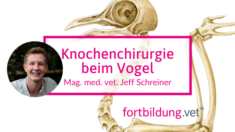 fortbildung.vet Titelbild