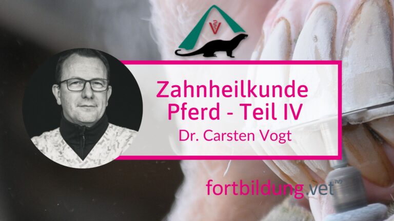 fortbildung.vet Titelbild