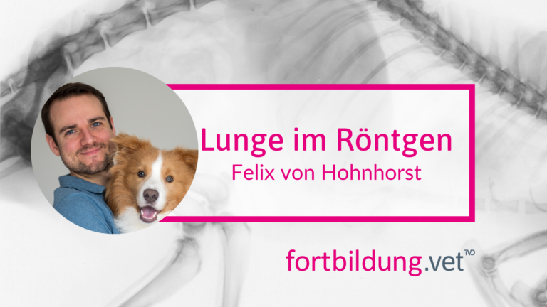 fortbildung.vet Titelbild