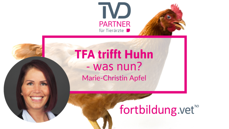 fortbildung.vet Titelbild