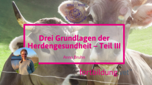 24266_herdengesundheit_thumb
