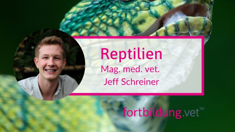 fortbildung.vet Titelbild