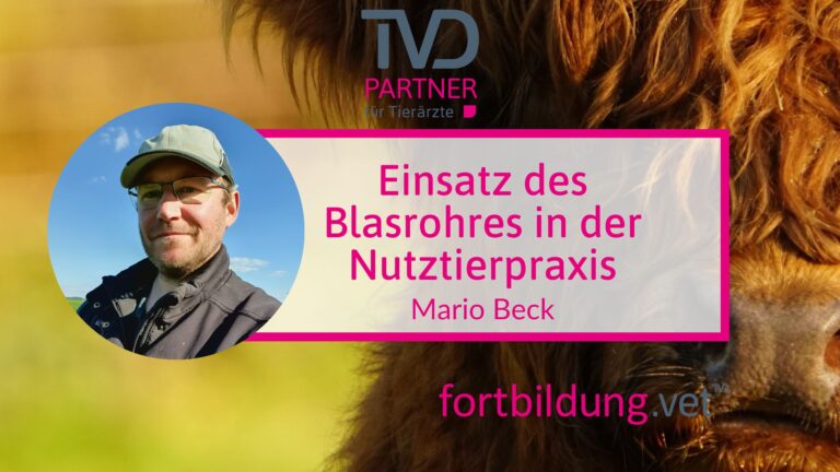fortbildung.vet Titelbild