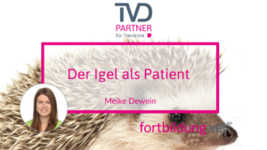 Der Igel als Patient