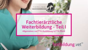 How to: Fachtierarzt Teil I
