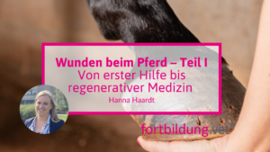 wunden_beim_pferd_teil_1_thumb_(1)