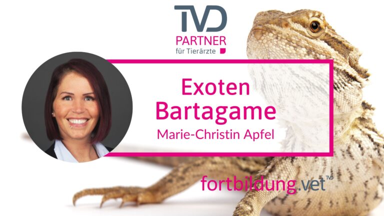 fortbildung.vet Titelbild
