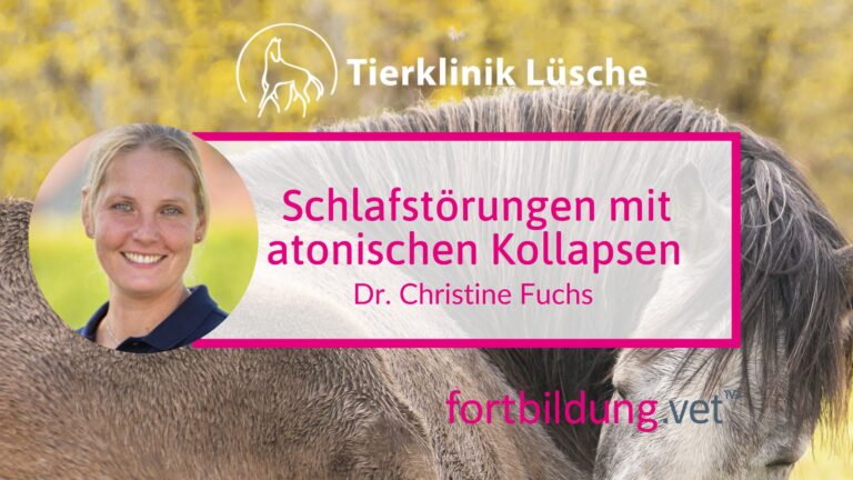 fortbildung.vet Titelbild