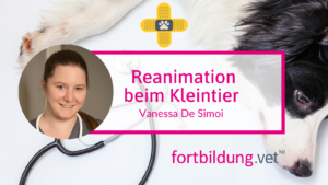 Reanimation