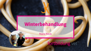 23179 neu