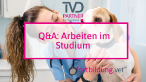 Q&A: Arbeiten im Studium