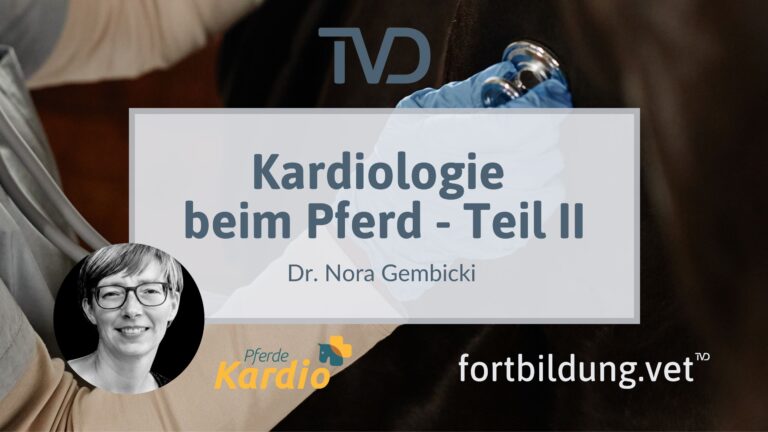fortbildung.vet Titelbild