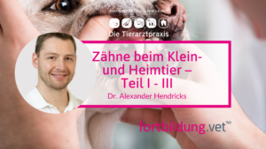 Zähne beim Klein- und Heimtier Sparpaket