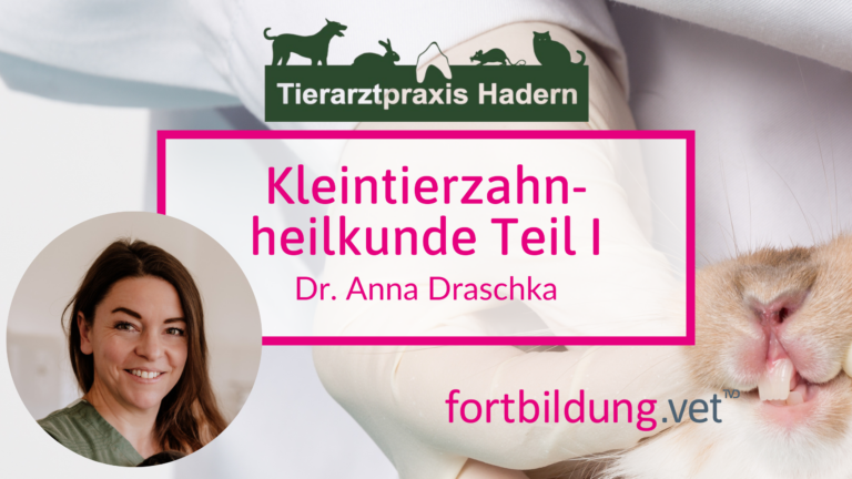 fortbildung.vet Titelbild