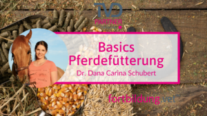 Basics Pferdefütterung
