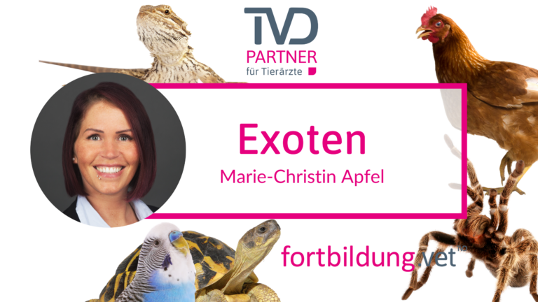 fortbildung.vet Titelbild