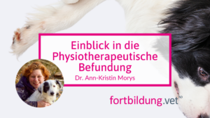 Ein Einblick in die Physiotherapeutische Befundung