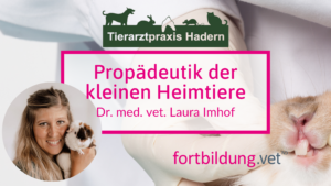 Propädeutik der kleinen Heimtiere