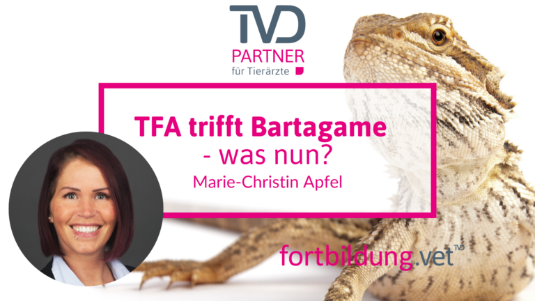 fortbildung.vet Titelbild