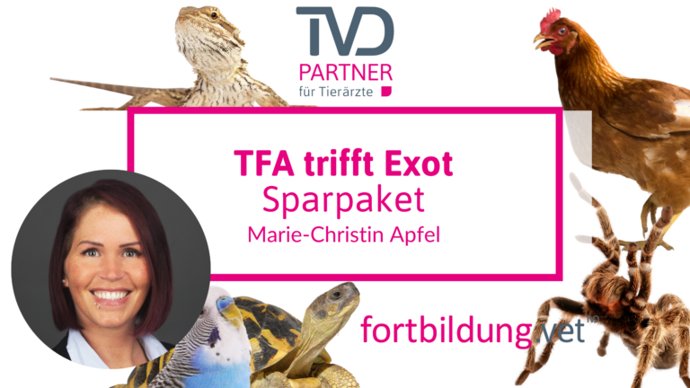 fortbildung.vet Titelbild
