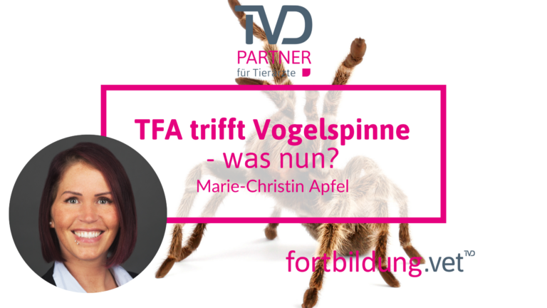 fortbildung.vet Titelbild