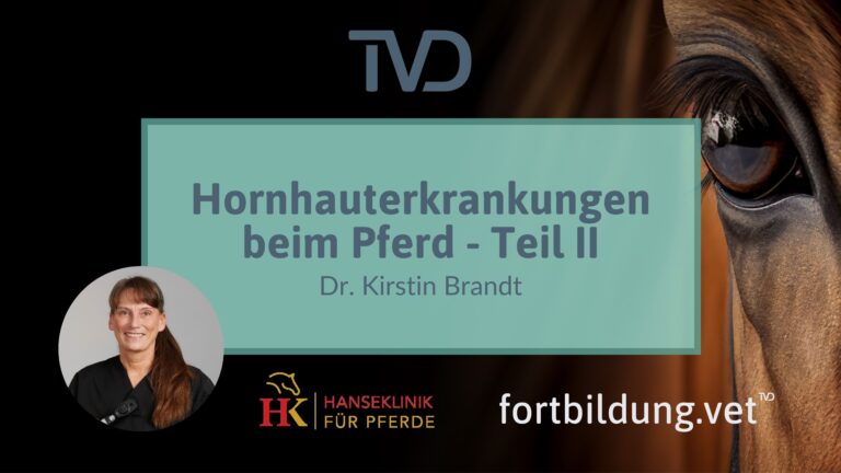 fortbildung.vet Titelbild