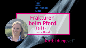 Frakturen beim Pferd - Sparpaket
