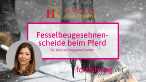 Fesselbeugesehnenscheide beim Pferd