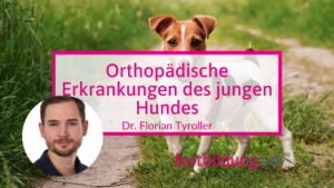 Orthopädische Erkrankungen des jungen Hundes