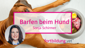 Barfen beim Hund
