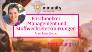 Frischmelker-Management und Stoffwechselerkrankungen