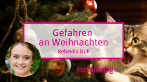 Alle Jahre wieder: Gefahren an Weihnachten