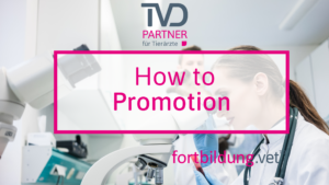 How to Promotion