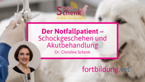 23235_notfallpatient_schockgeschehen+akutbehandlung_thumb