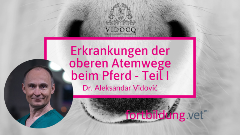 fortbildung.vet Titelbild